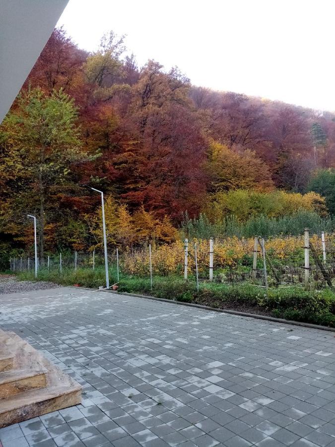 Livada Amely Hotel Gales Bagian luar foto