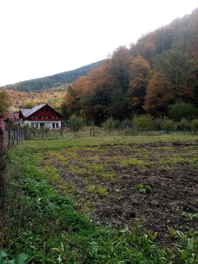 Livada Amely Hotel Gales Bagian luar foto